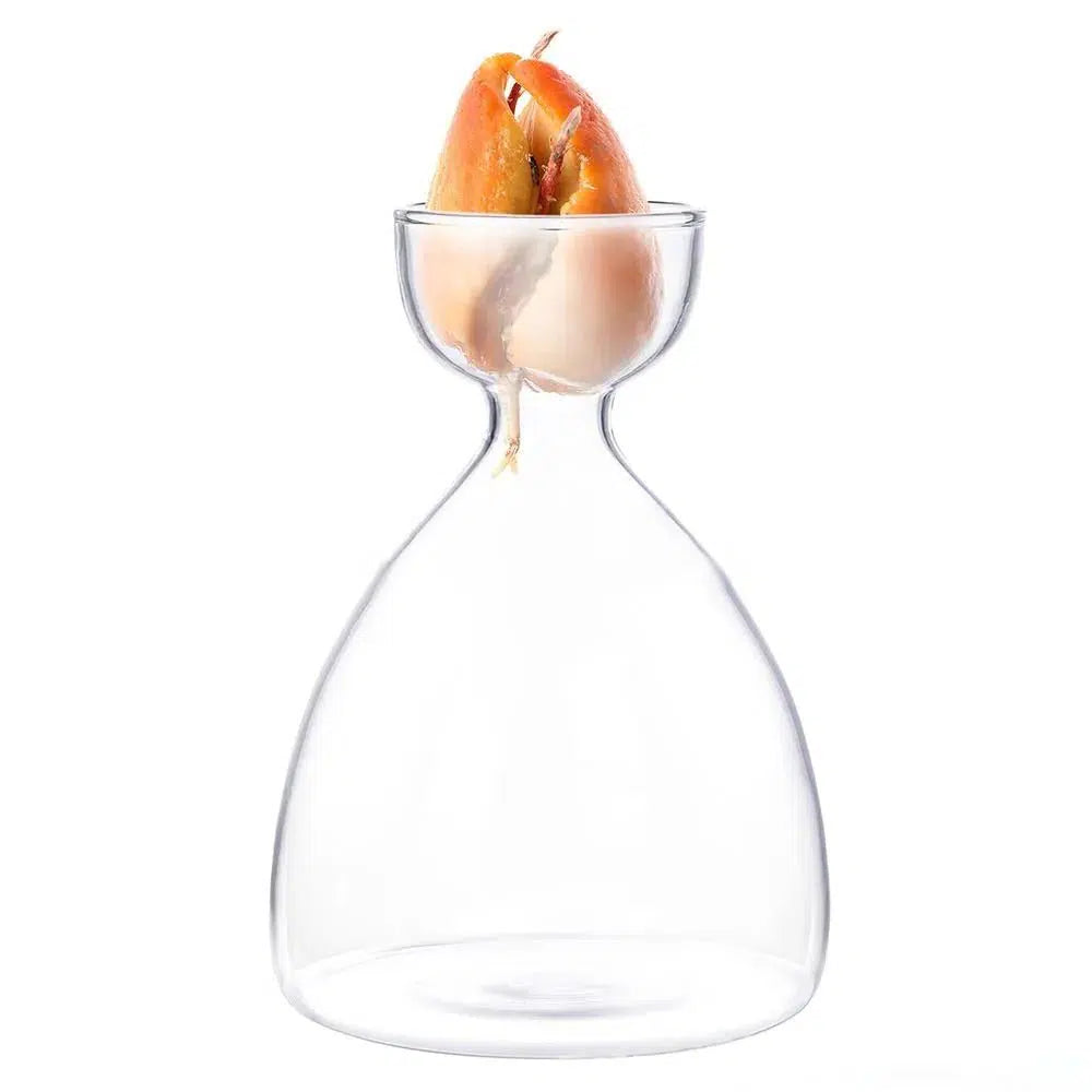 Avocado Seed Propagation Vase-