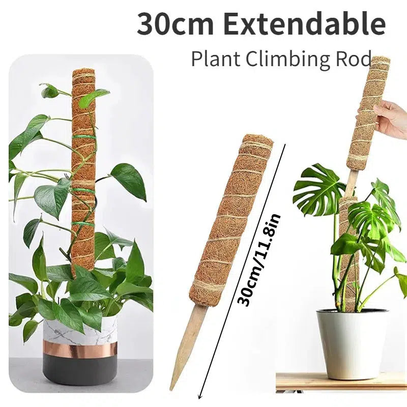 Coir Totem Plant Pole Support-1PC Extendable 30cm-China-