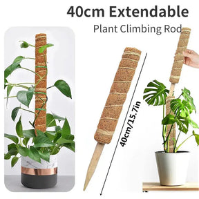 Coir Totem Plant Pole Support-1PC Extendable 40cm-China-