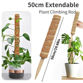 Coir Totem Plant Pole Support-1PC Extendable 50cm-China-