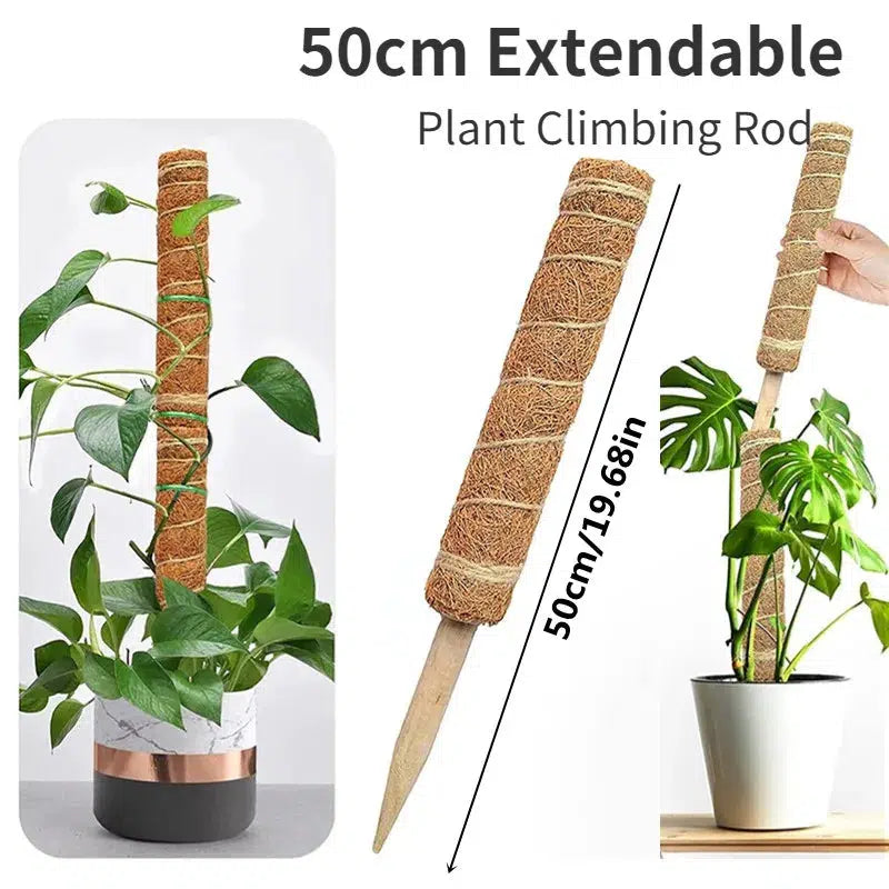 Coir Totem Plant Pole Support-1PC Extendable 50cm-China-