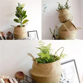 Eco-Friendly Handmade Wicker Plant Basket-