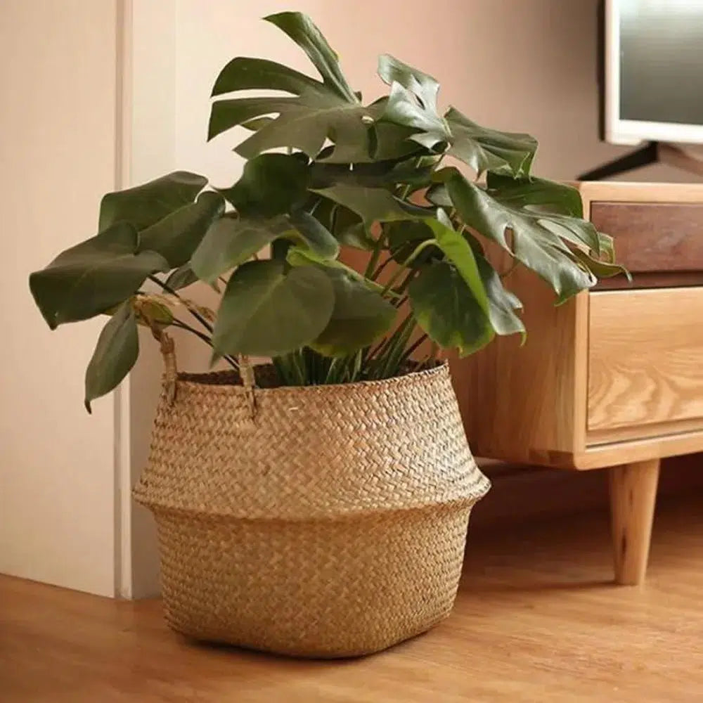 Eco-Friendly Handmade Wicker Plant Basket-