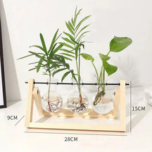 Glass Propagation Vase with Wooden Frame Stand-Triple Bulb Light Colour-