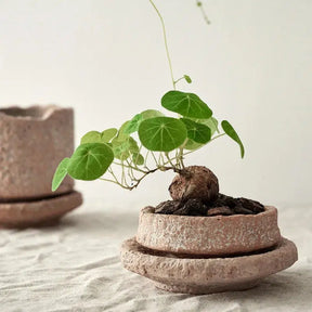 Handmade Clay Planter Pot with Saucer-