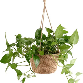 Jute Rope Hanging Plant Basket-