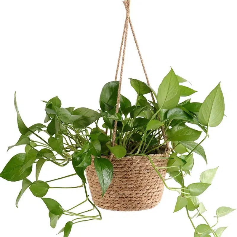 Jute Rope Hanging Plant Basket-
