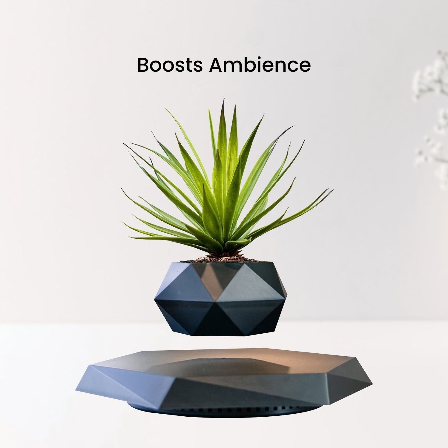 Magnetic Levitating Plant Pot-