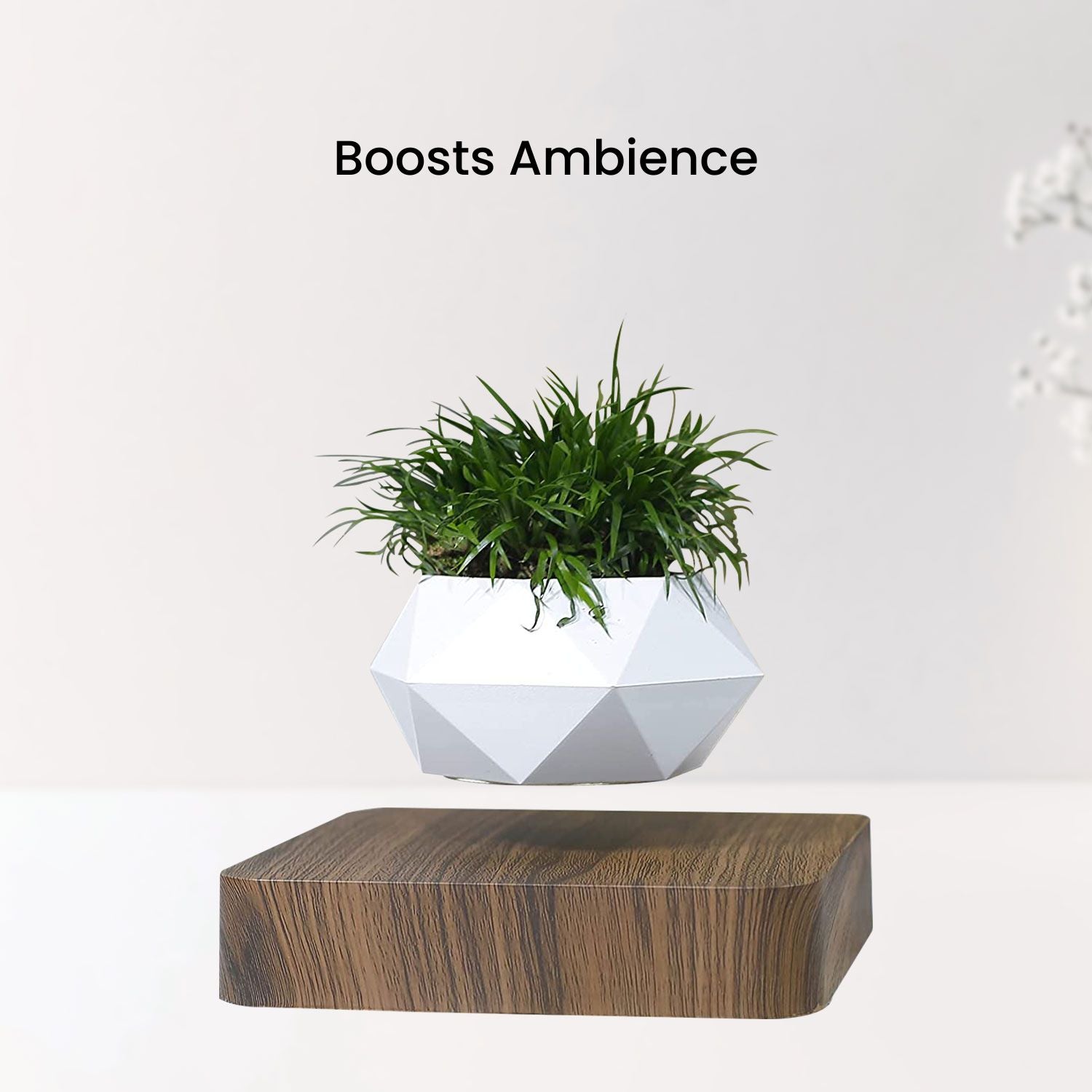 Magnetic Levitating Plant Pot-