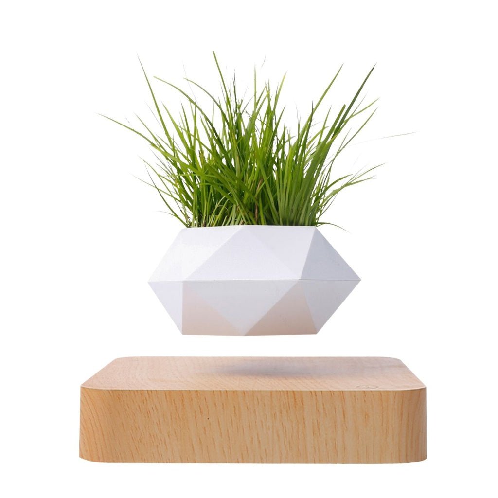 Magnetic Levitating Plant Pot-Light Brown Base-