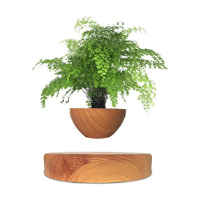 Magnetic Levitating Plant Pot-Oak-