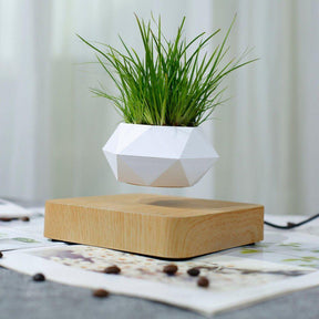 Magnetic Levitating Plant Pot-