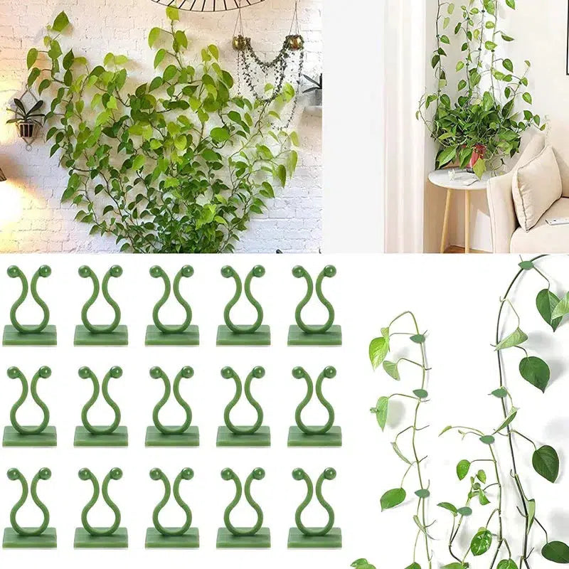 Plant Climbing Wall Fixture Clips 10/30Pcs-