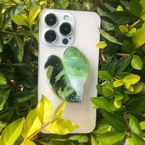 Plant Griptok Phone Holder and Stand-Philodendron 2-