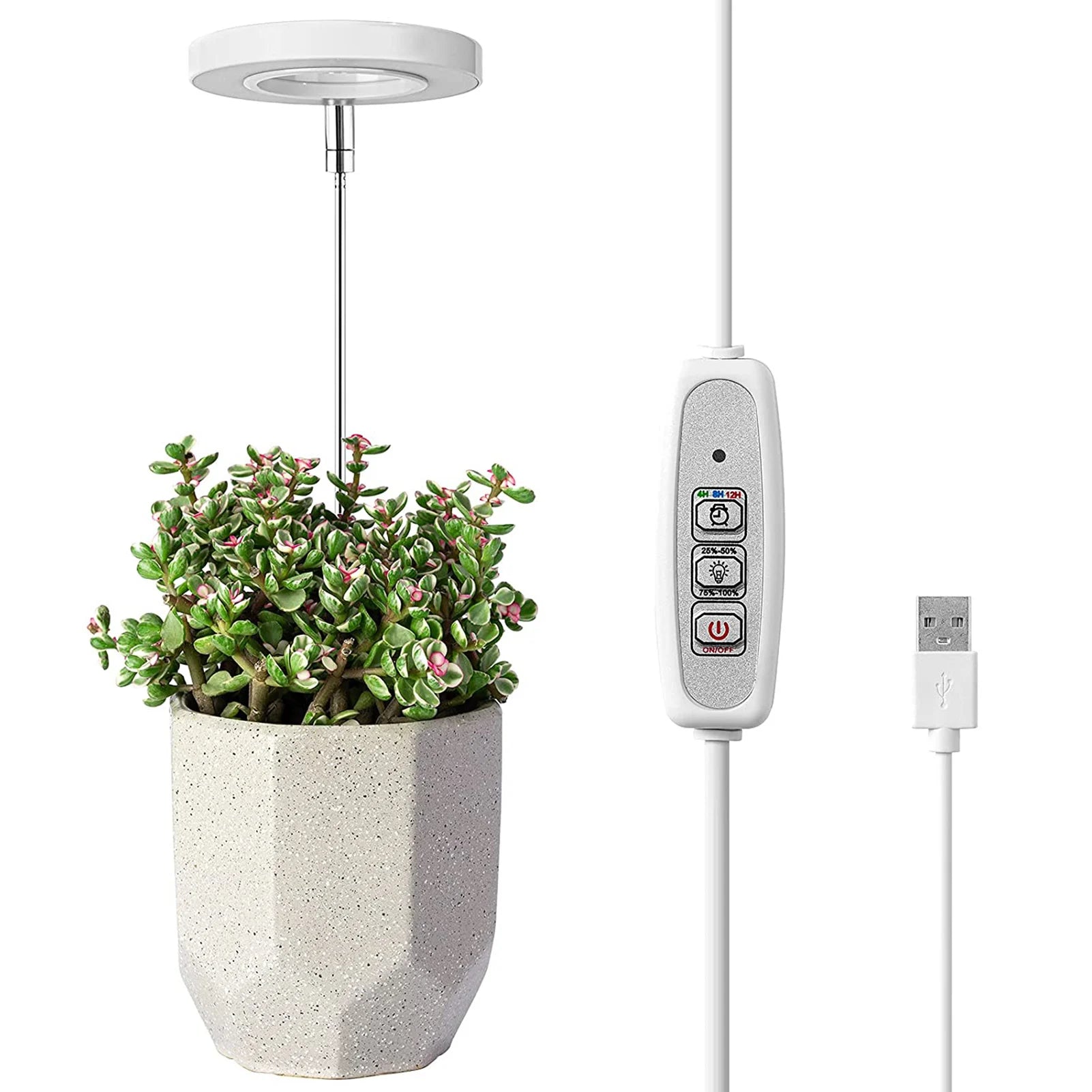 Plant Grow LED Light Ring-