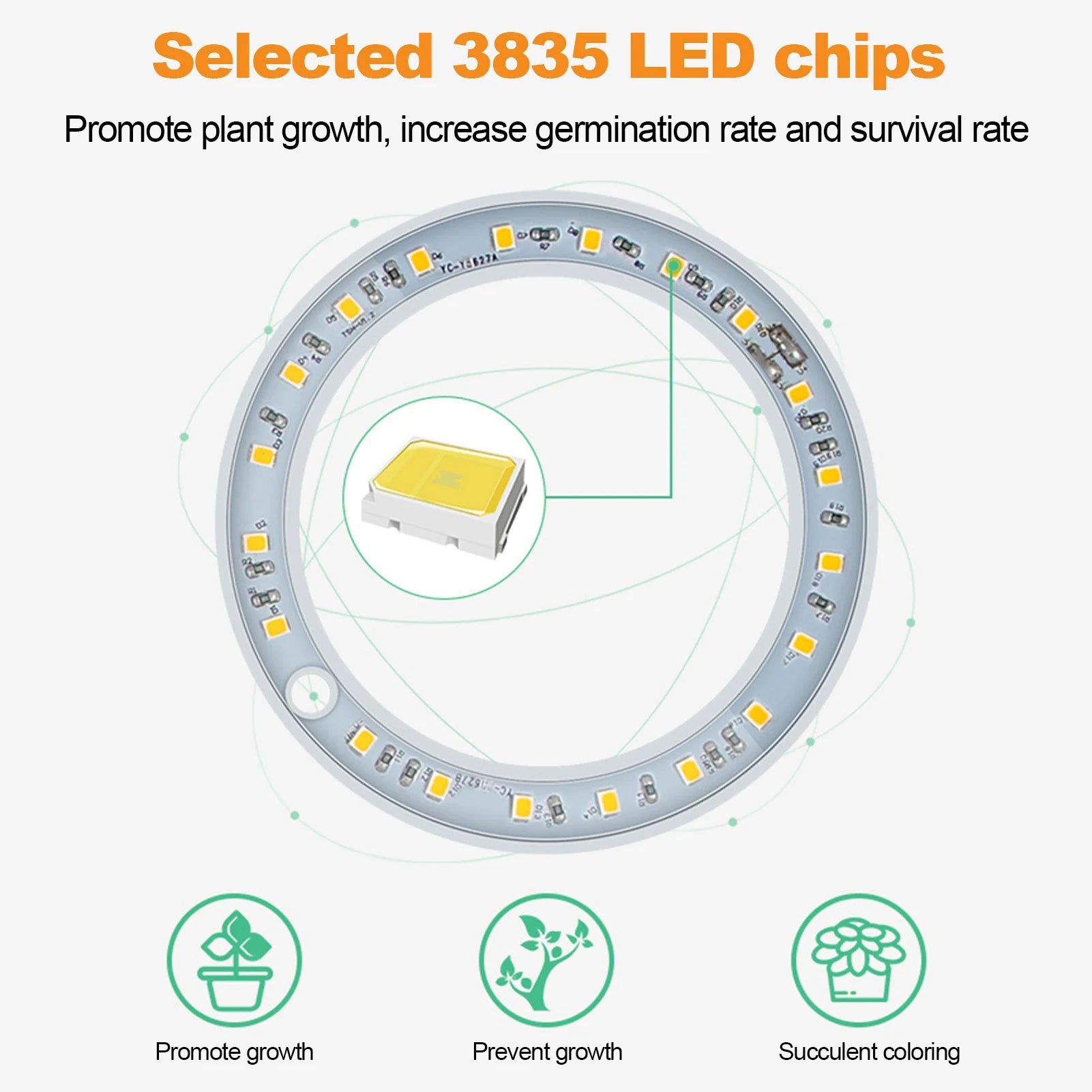 Plant Grow LED Light Ring-