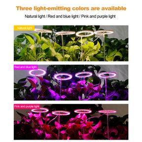 Plant Grow LED Light Ring-