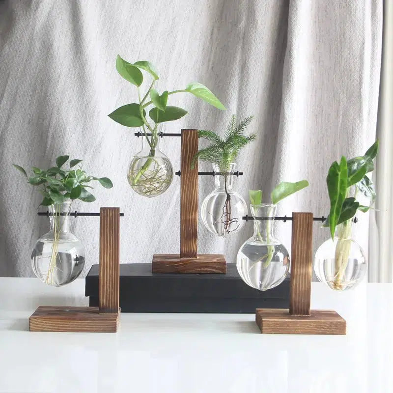 Plant Propagation Glass Bulb Vase-