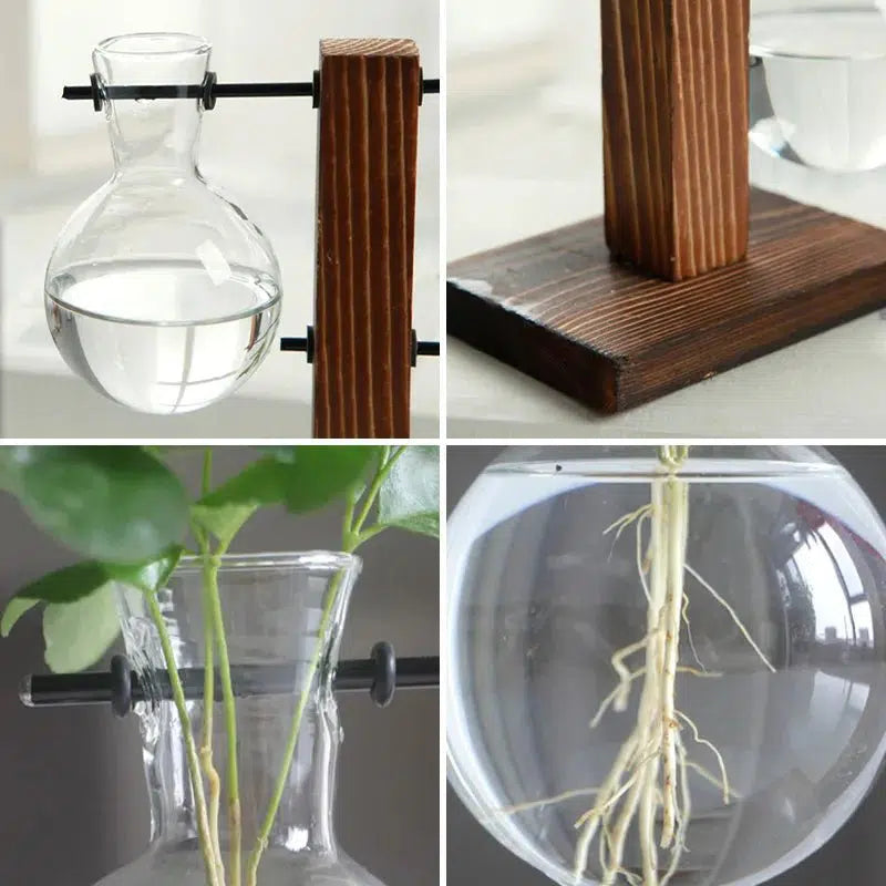 Plant Propagation Glass Bulb Vase-