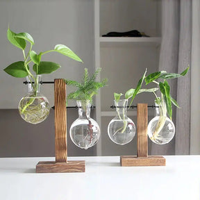 Plant Propagation Glass Bulb Vase-