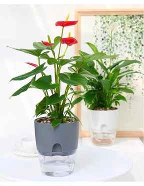 Self Watering Plant Flower Pot-