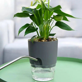 Self Watering Plant Flower Pot-