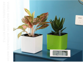 Square Self Watering Pot with Water Level Indicator-