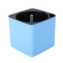 Square Self Watering Pot with Water Level Indicator-Blue-L-