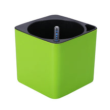 Square Self Watering Pot with Water Level Indicator-Green-M-