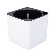 Square Self Watering Pot with Water Level Indicator-White-L-