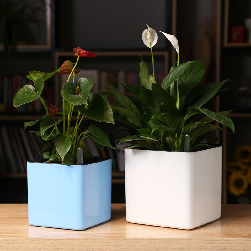 Square Self Watering Pot with Water Level Indicator-