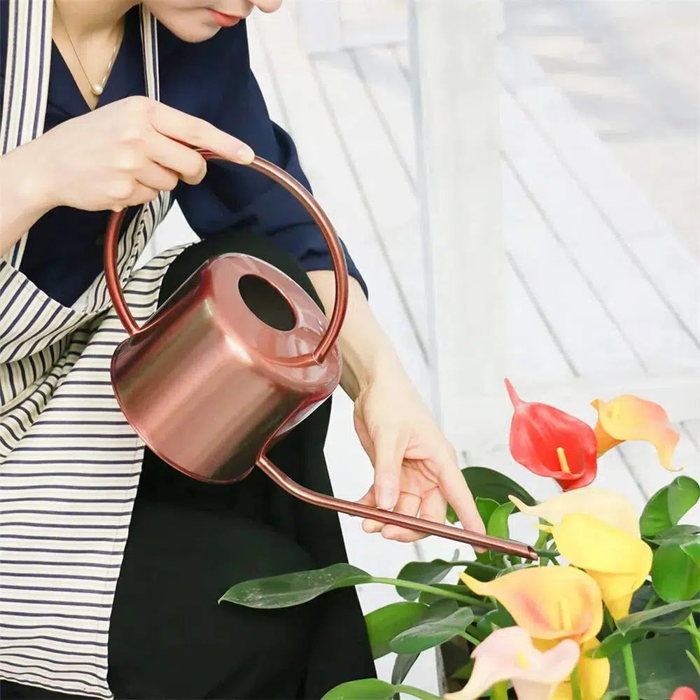 Stainless Steel Watering Can 1.2L-